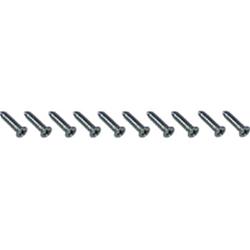OER Trim Screws R493