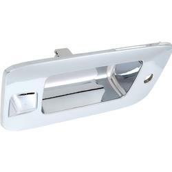 OER Tailgate Handle Bezels T76048