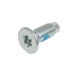 OMIX-ADA Windshield Hinge Screws