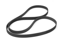 OMIX-ADA Accessory Belts for 2005-2006 LIBERTY - 17111.37