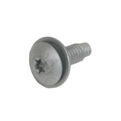 OMIX-ADA Instrument Panel Torx Head Bolts