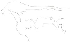 The Stop Shop Brake Lines, Direct Fit Z1979G