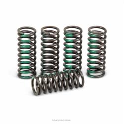 Pro Circuit Racing Clutch Springs CSK10250-CS