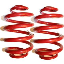 Pedders Standard Height Springs