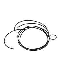 Peterson Fluid Systems Oil Pump Gaskets, Seals and O-Rings 13-4010