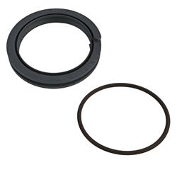 Peterson Fluid Systems Engine Seals SM86665