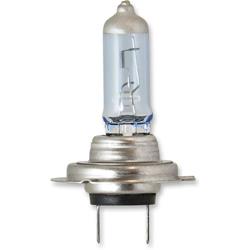 PIAA Light Bulbs 13-70107