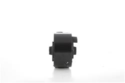 Pioneer Automotive Motor Mounts for 1994-1997 ASPIRE - 605204