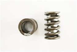 Pioneer Automotive Valve Springs 810010-4