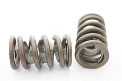 Pioneer Automotive Valve Springs 810107-4