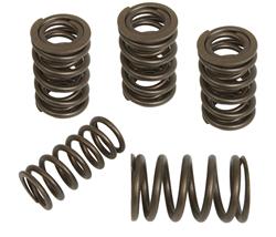 Pioneer Valve Springs 810206-4