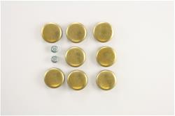 Pioneer Automotive Engine Expansion Plugs PE-189-BR