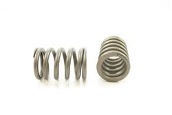 Pioneer Automotive Valve Springs RV-1105-100