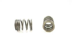 Pioneer Automotive Valve Springs RV-1130-100