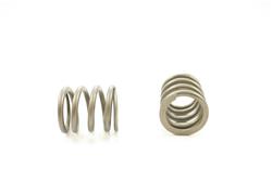 Pioneer Automotive Valve Springs RV-1140-4