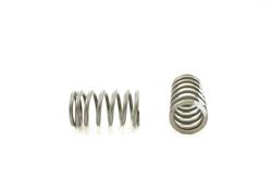 Pioneer Automotive Valve Springs RV-1198-100