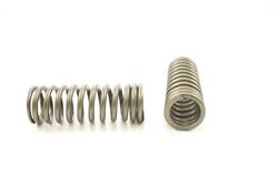 Pioneer Automotive Valve Springs RV-1217-100
