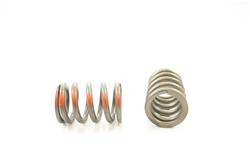 Pioneer Automotive Valve Springs RV-1257-100
