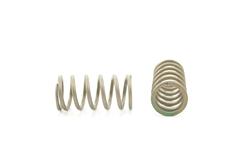 Pioneer Automotive Valve Springs RV-1259-4