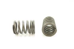 Pioneer Automotive Valve Springs RV-1360-4
