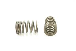 Pioneer Automotive Valve Springs RV-1362-4