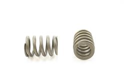 Pioneer Automotive Valve Springs RV-1380-4