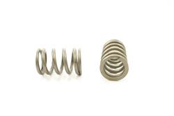 Pioneer Automotive Valve Springs RV-1386-4