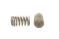 Pioneer Automotive Valve Springs RV-1443-4