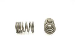 Pioneer Automotive Valve Springs RV-1583-4