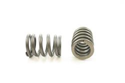 Pioneer Automotive Valve Springs RV-2225-4