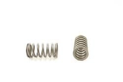 Pioneer Automotive Valve Springs RV-2451-100