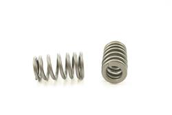 Pioneer Automotive Valve Springs RV-2482-100