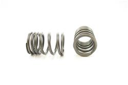 Pioneer Automotive Valve Springs RV-658-4