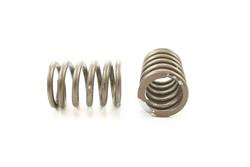 Pioneer Automotive Valve Springs RV-672-100