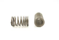 Pioneer Automotive Valve Springs RV-735-4