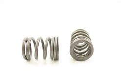 Pioneer Automotive Valve Springs RV-745-100