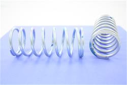 Pioneer Automotive Valve Springs RV-767-4