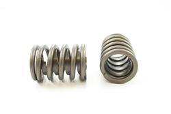Pioneer Automotive Valve Springs RV-864-X-4
