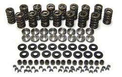 PROMAXX Performance Gold Series Valve Spring and Retainer Kits