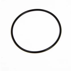 PPE O-Rings 113060012