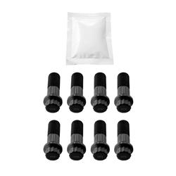 PPE Flexplate Fasteners 118032500