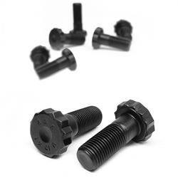 PRW Flywheel Fasteners 1001281