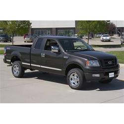 Putco Body Side Moldings for 2004-2008 F-150 - 96660