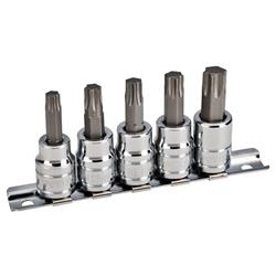 Powerbuilt Torx Bit Sockets 647363