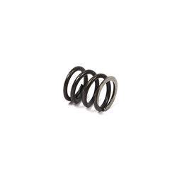 Briggs & Stratton Valve Springs 26826