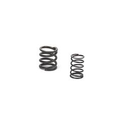 Briggs & Stratton Powersports Valve Springs 557024