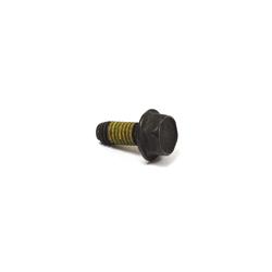 Briggs & Stratton Bolts and Screws 699479
