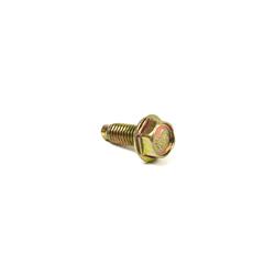 Briggs & Stratton Bolts and Screws 699481