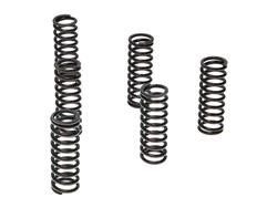 Pro-X Racing Parts Clutch Spring Kits 17.CS13006