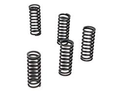 Pro-X Racing Parts Clutch Spring Kits 17.CS41013